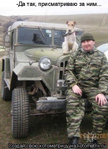 Котоматрица: -Да так, присматриваю за ним...