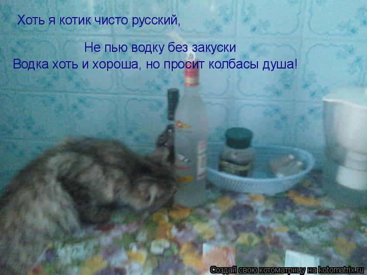 Котоматрица: Хоть я котик чисто русский, Не пью водку без закуски Водка хоть и хороша, но просит колбасы душа!