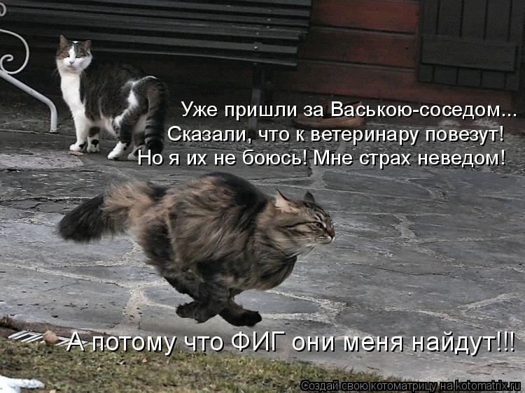 Уже пришли за Ваською-соседом... Сказали, что к ветеринару повезут! Но я их не боюсь! Мне страх невед... Котоматрица: Уже пришли за Ваською-соседом... Сказали, что к ветеринару повезут! Но я их не боюсь! Мне страх неведом! А потому что ФИГ они меня найдут!!!