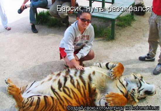 Котоматрица: Барсик, ну ты разожрался!