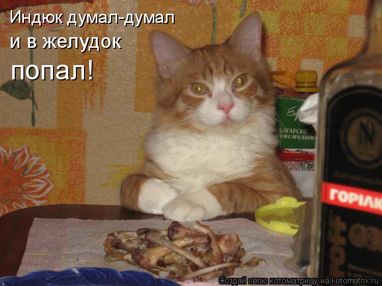 Котоматрица: Индюк думал-думал и в желудок  попал!