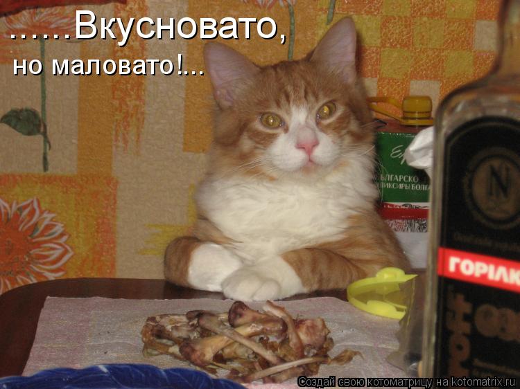 Котоматрица: ......Вкусновато, но маловато!...