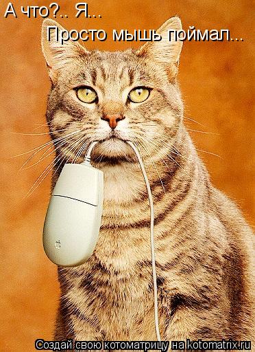А что?.. Я... Просто мышь поймал...... Котоматрица: А что?.. Я... Просто мышь поймал...