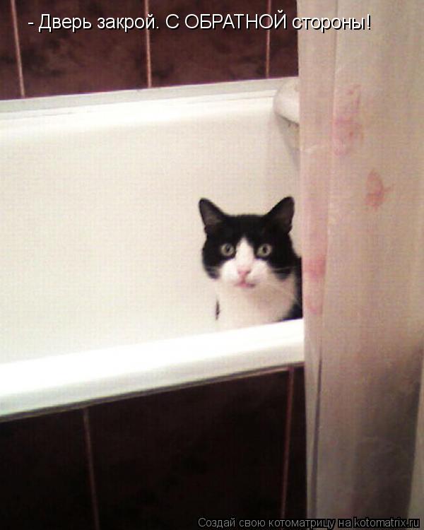 - Дверь закрой. С ОБРАТНОЙ стороны!... Котоматрица: - Дверь закрой. С ОБРАТНОЙ стороны!