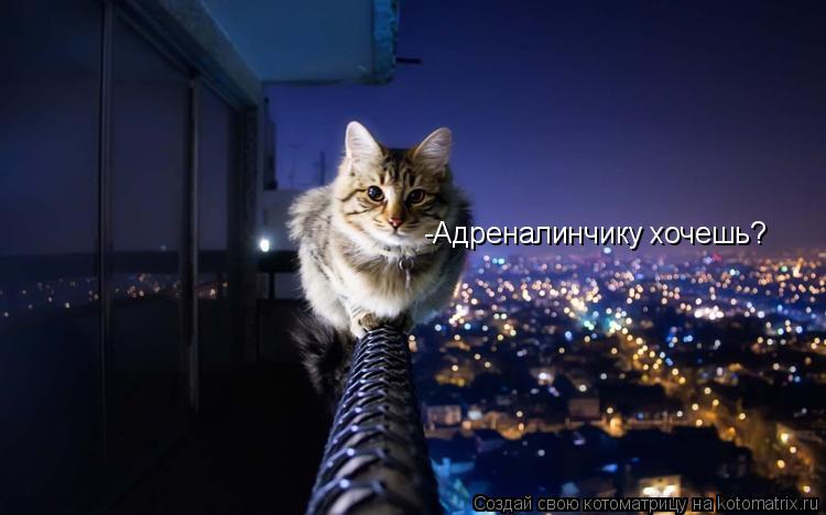 Котоматрица: -Адреналинчику хочешь?