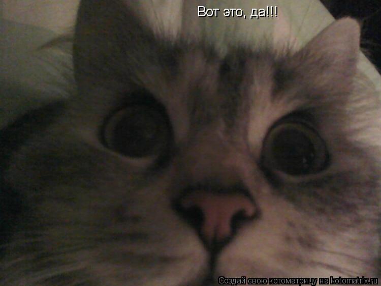 Котоматрица: Вот это, да!!!