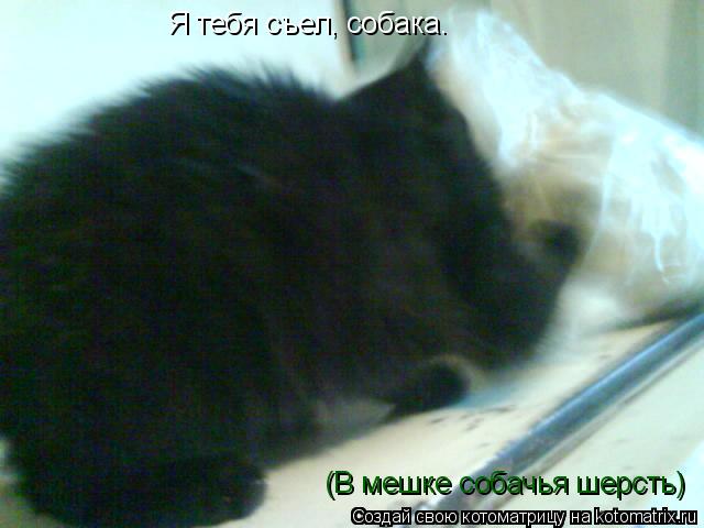 Котоматрица: Я тебя съел, собака. (В мешке собачья шерсть)