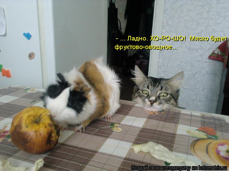 Котоматрица: - ... Ладно. ХО-РО-ШО!  Мяско будет  фруктово-овощное...