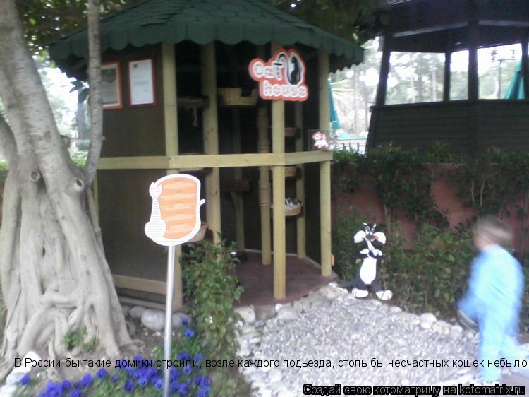 Котоматрица: В России бы такие домики строили, возле каждого подьезда, столь бы несчастных кошек небыло!