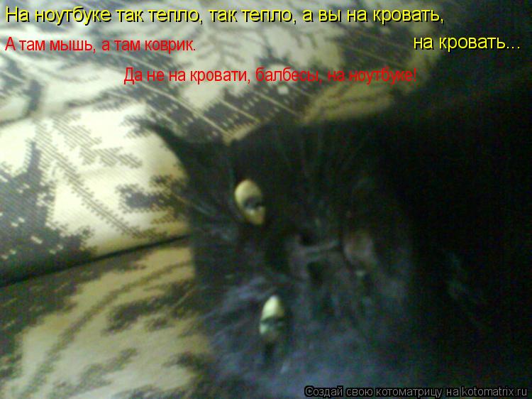 Котоматрица: На ноутбуке так тепло, так тепло, а вы на кровать, на кровать... А там мышь, а там коврик. Да не на кровати, балбесы, на ноутбуке!