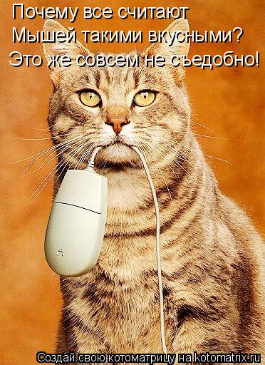 Котоматрица: Почему все считают  Мышей такими вкусными? Это же совсем не съедобно!