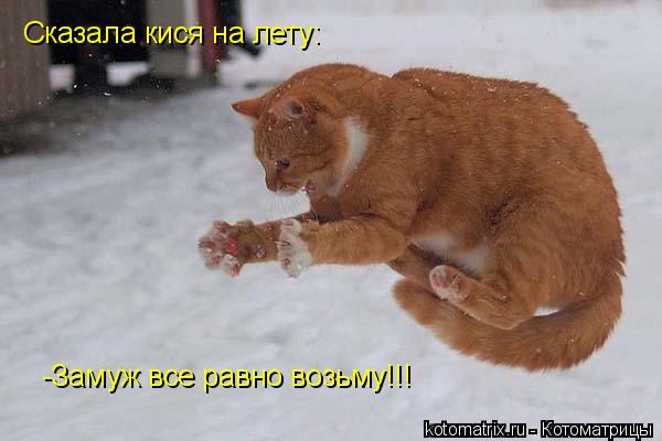 Котоматрица: Сказала кися на лету: -Замуж все равно возьму!!!