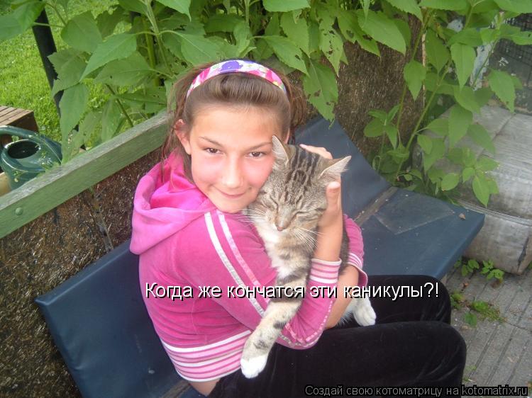 Котоматрица: Когда же кончатся эти каникулы?!