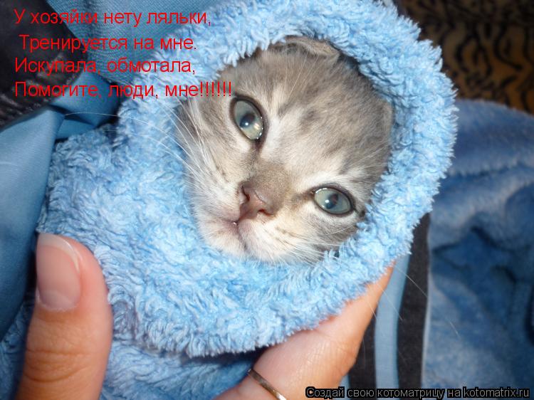 Котоматрица: У хозяйки нету ляльки У хозяйки нету ляльки, Тренируется на мне. Искупала, обмотала, Помогите, люди, мне!!!!!!