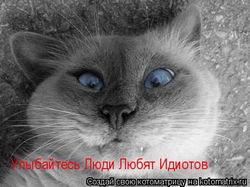 Улыбайтесь Люди Любят Идиотов... Котоматрица: Улыбайтесь Люди Любят Идиотов