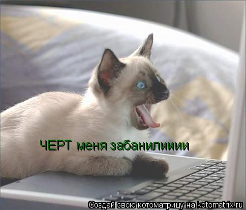 Котоматрица: ЧЕРТ меня забанилииии