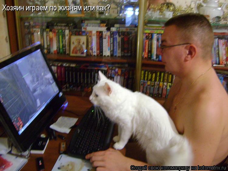 Котоматрица: Хозяин играем по жизням или как?