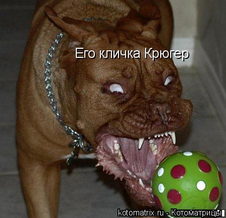 Котоматрица: Его кличка Крюгер