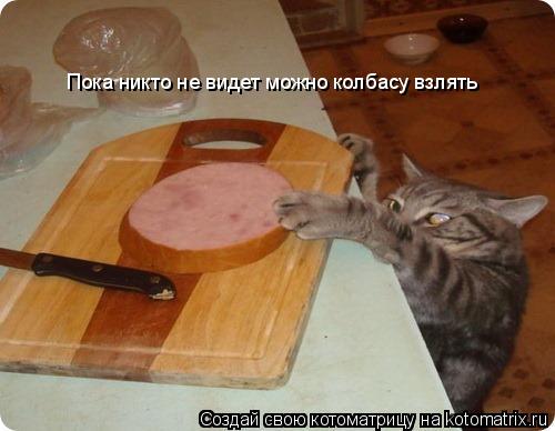 Котоматрица: Пока никто не видет можно колбасу взлять
