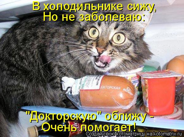 В холодильнике сижу, Но не заболеваю: "Докторскую" оближу - Очень помогает!... Котоматрица: В холодильнике сижу, Но не заболеваю: "Докторскую" оближу - Очень помогает!