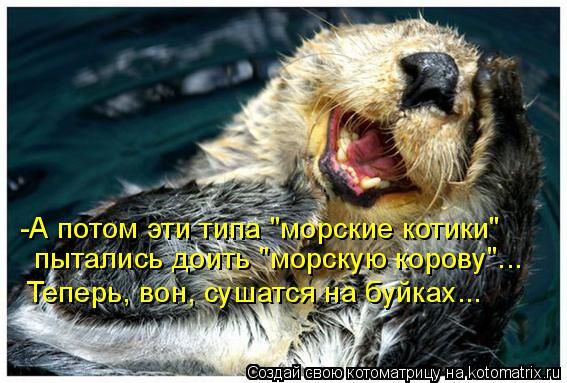Котоматрица: -А потом эти типа "морские котики" пытались доить "морскую корову"... Теперь, вон, сушатся на буйках...