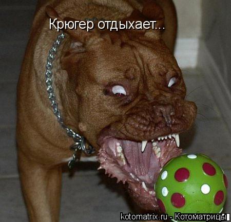 Крюгер отдыхает...... Котоматрица: Крюгер отдыхает...