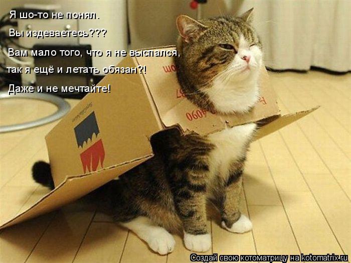 Я шо-то не понял. Вы издеваетесь??? Вам мало того, что я не выспался, так я ещё и летать обязан?! Даж... Котоматрица: Я шо-то не понял. Вы издеваетесь??? Вам мало того, что я не выспался, так я ещё и летать обязан?! Даже и не мечтайте!