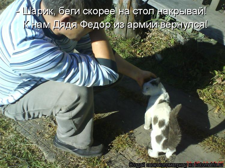 Котоматрица: - Шарик, беги скорее на стол накрывай!  К нам Дядя Федор из армии вернулся!