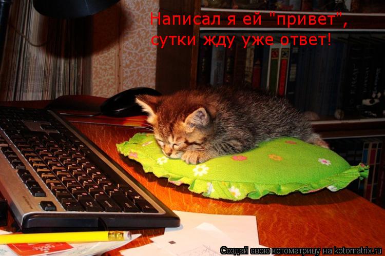 Котоматрица: Написал я ей "привет",  сутки жду уже ответ!