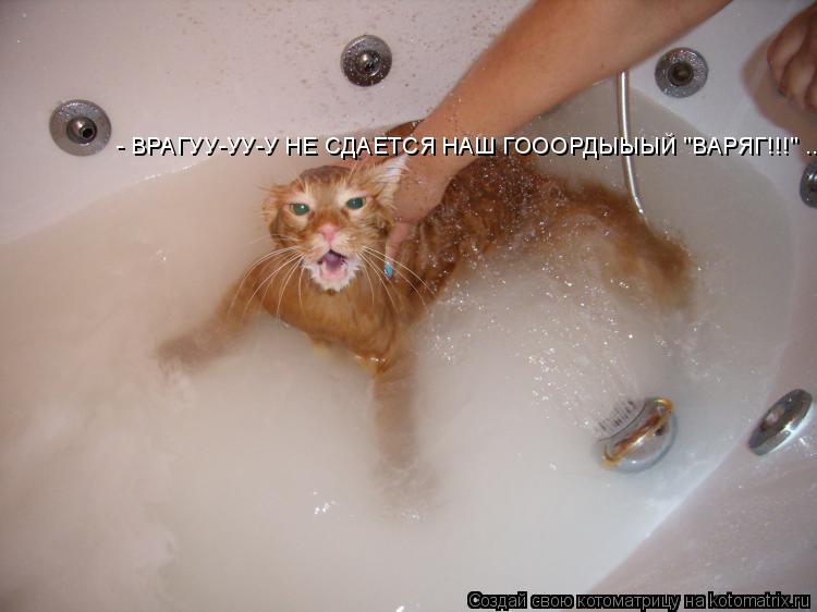 Котоматрица: - ВРАГУУ-УУ-У НЕ СДАЕТСЯ НАШ ГОООРДЫЫЫЙ "ВАРЯГ!!!" ...