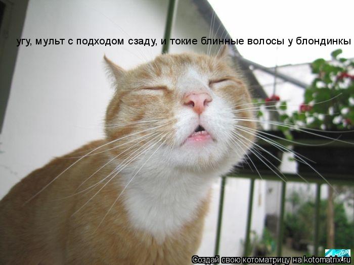 Котоматрица: угу, мульт с подходом сзаду, и токие блинные волосы у блондинкы