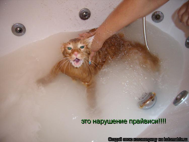 Котоматрица: это нарушение прайвиси!!!!