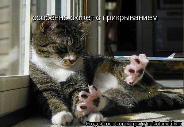 Котоматрица: особенно сюжет с прикрыванием