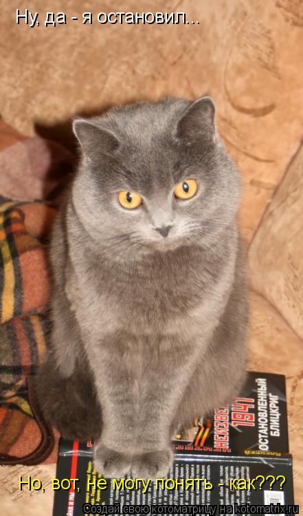 Котоматрица: Ну, да - я остановил... Но, вот, не могу понять - как???