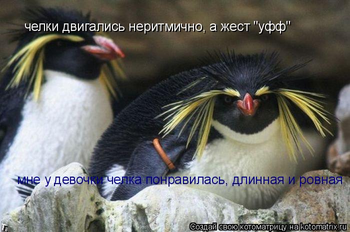 Котоматрица: челки двигались неритмично, а жест "уфф" мне у девочки челка понравилась, длинная и ровная