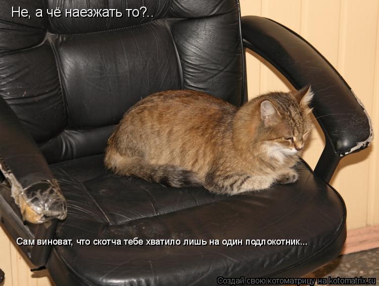 Котоматрица: Не, а чё наезжать то?.. Сам виноват, что скотча тебе хватило лишь на один подлокотник...