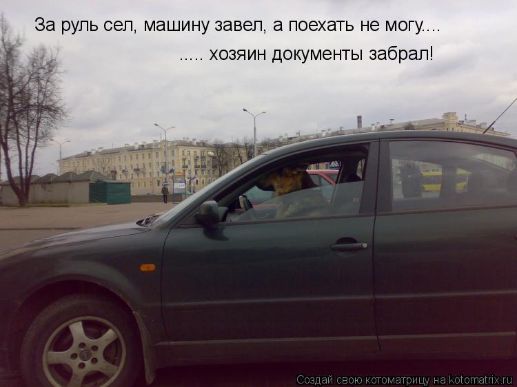Котоматрица: За руль сел, машину завел, а поехать не могу....  ..... хозяин документы забрал!