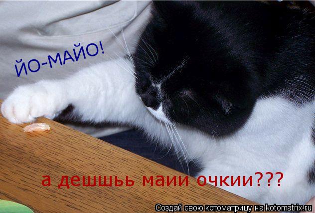 Котоматрица: ЙО-МАЙО! а дешшьь маии очкии???