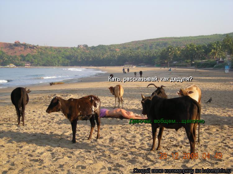 Котоматрица: Кать, рассказывай, как дедуля? Девочки, вобщем....щекотно