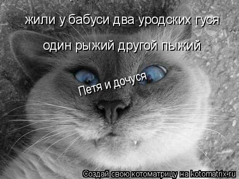 Котоматрица: жили у бабуси два уродских гуся один рыжий другой пыжий Петя и дочуся Петя и дочуся