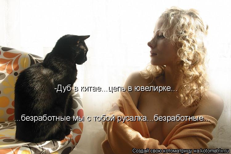 Котоматрица: -Дуб в китае...цепь в ювелирке... ...безработные мы с тобой русалка...безработные...