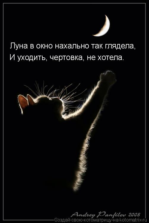 Котоматрица: Луна в окно нахально так глядела, И уходить, чертовка, не хотела.