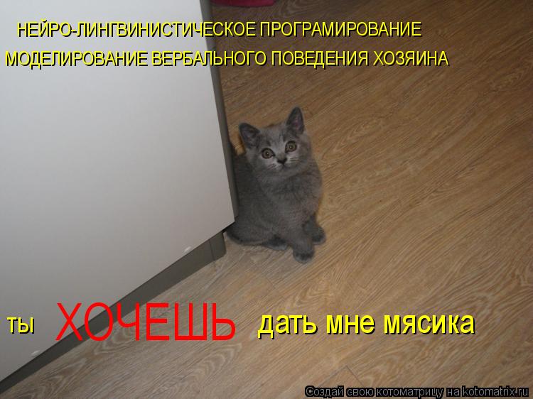 Котоматрица: НЕЙРО-ЛИНГВИНИСТИЧЕСКОЕ ПРОГРАМИРОВАНИЕ МОДЕЛИРОВАНИЕ ВЕРБАЛЬНОГО ПОВЕДЕНИЯ ХОЗЯИНА ты  ХОЧЕШЬ дать мне мясика