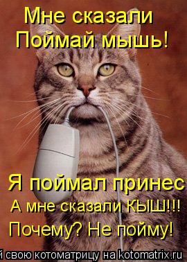 Котоматрица: Мне сказали Поймай мышь! Я поймал принес А мне сказали КЫШ!!! Почему? Не пойму!