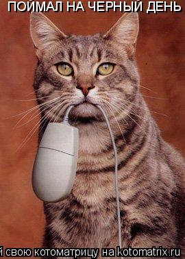 Котоматрица: ПОЙМАЛ НА ЧЕРНЫЙ ДЕНЬ