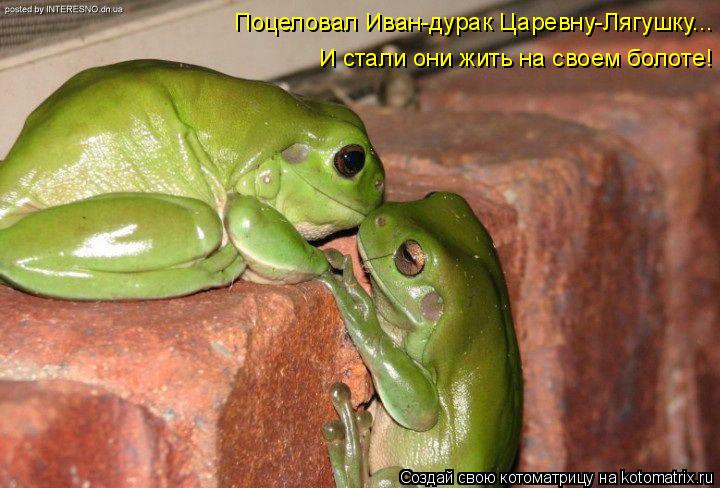 Котоматрица: Поцеловал Иван-дурак Царевну-Лягушку... И стали они жить на своем болоте!