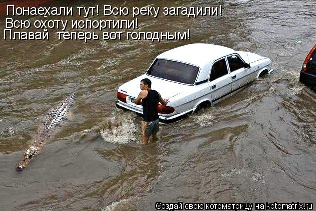 Котоматрица: Понаехали тут! Всю реку загадили!  Всю охоту испортили!  Плавай  теперь вот голодным!