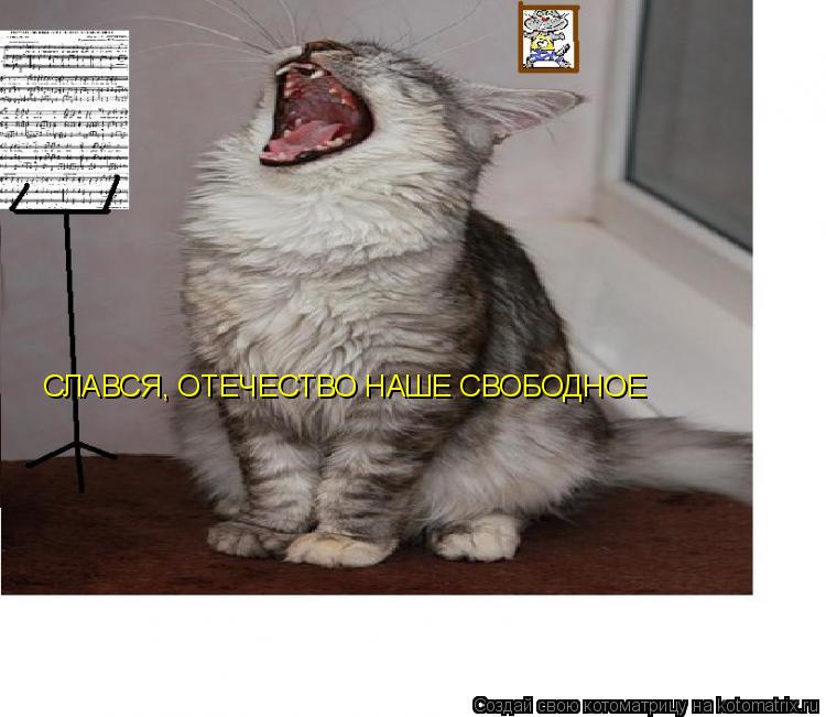 Котоматрица: СЛАВСЯ, ОТЕЧЕСТВО НАШЕ СВОБОДНОЕ