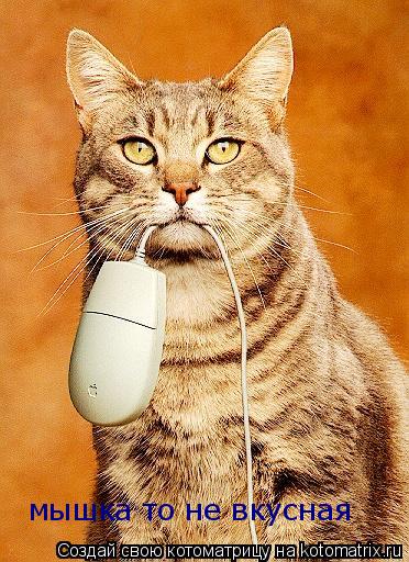 Котоматрица: мышка то не вкусная