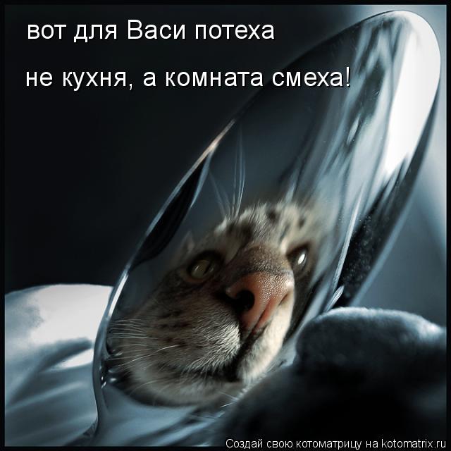 вот для Васи потеха не кухня, а комната смеха!... Котоматрица: вот для Васи потеха не кухня, а комната смеха!